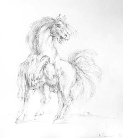 Cavallo irrequieto (matita, 1972)