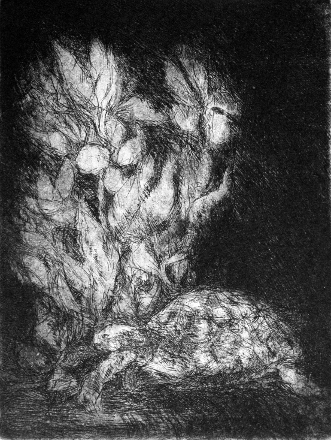 Tartaruga con fiori (acquaforte, 1952, cm 16,7 x 21,6)