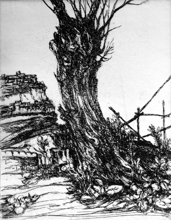 Albero (acquaforte, 1970, cm 18 x 23,2)
