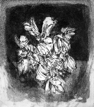 Il fiore tra luci e ombre (acquaforte, 1974, cm 17,8 x 20,3)